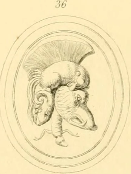 An illustration from Antique gems and rings, 1872, leaf 226