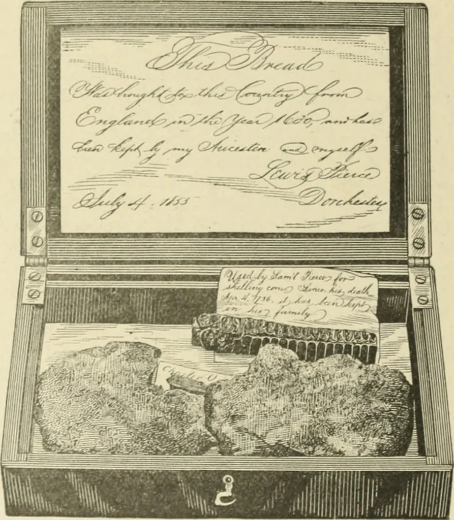 An illustration from Antique views of ye towne of Boston, 1882, leaf 165