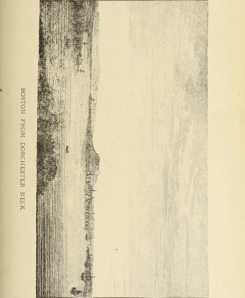 An illustration from Antique views of ye towne of Boston, 1882, leaf 174