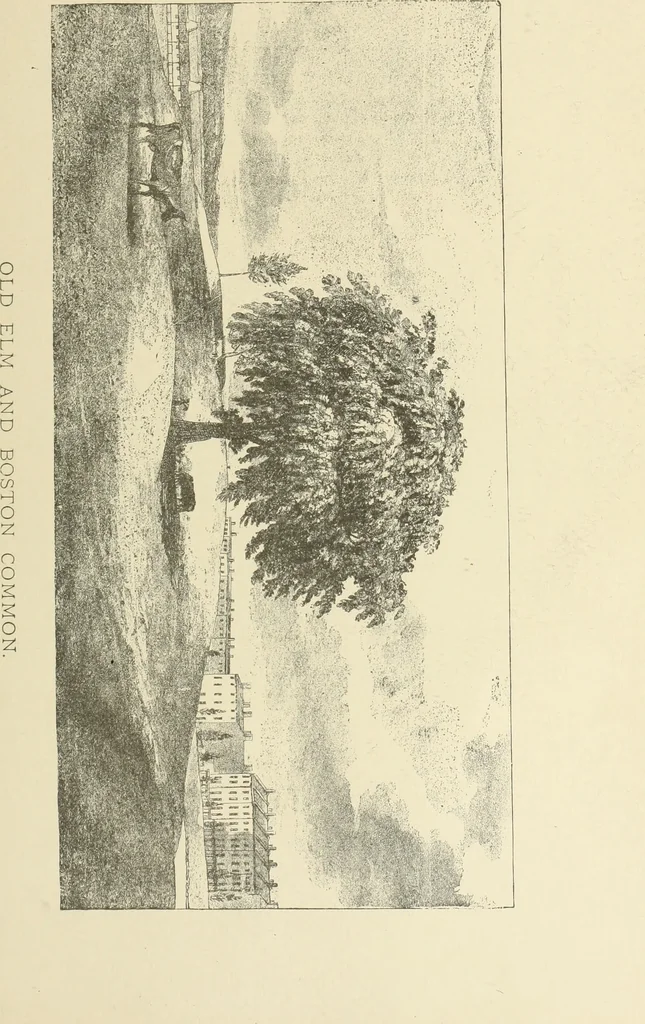An illustration from Antique views of ye towne of Boston, 1882, leaf 184