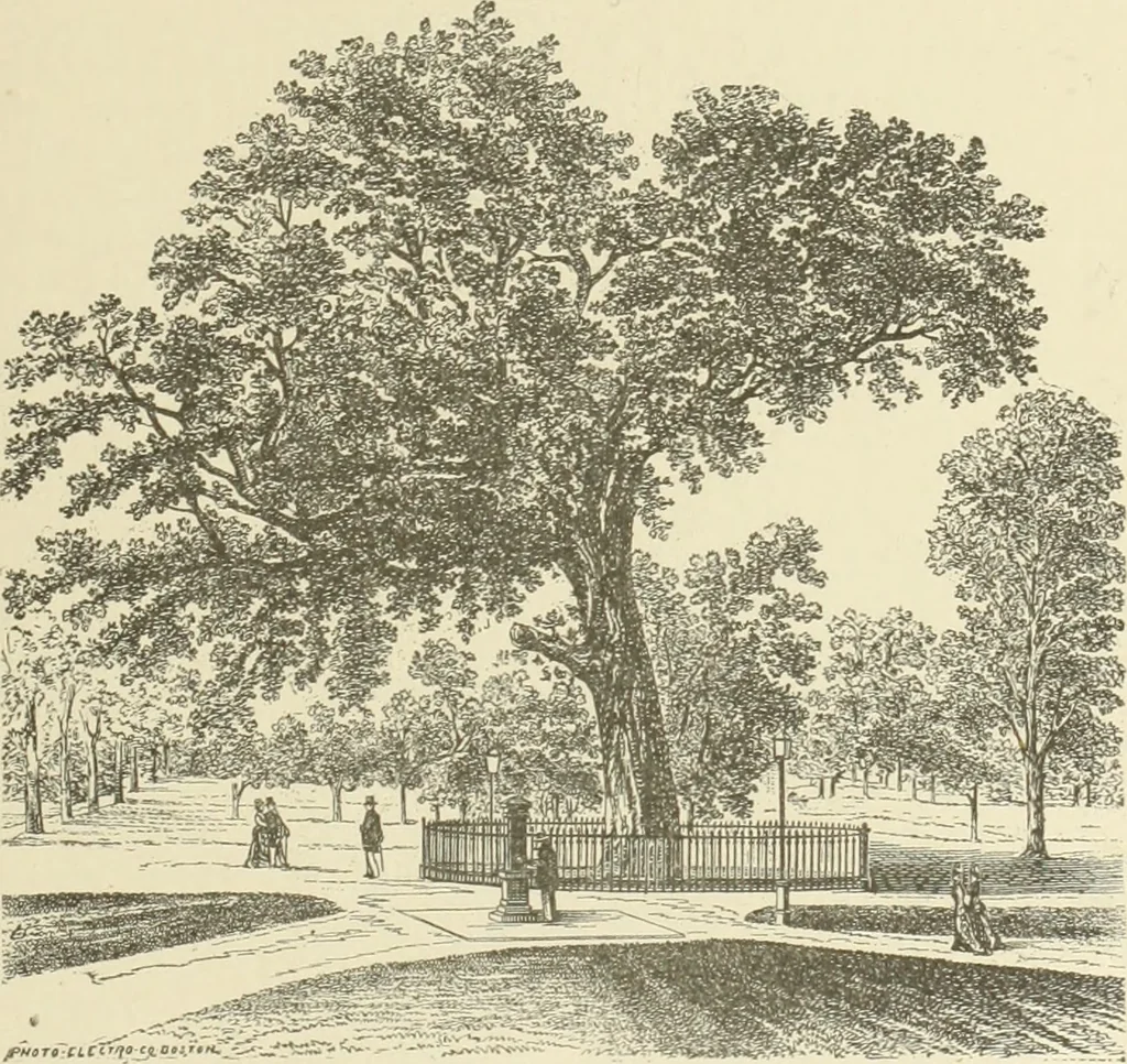 An illustration from Antique views of ye towne of Boston, 1882, leaf 186