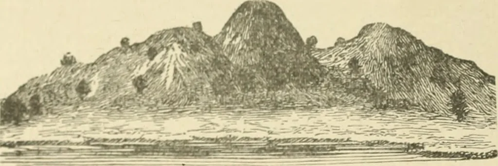 An illustration from Antique views of ye towne of Boston, 1882, leaf 21