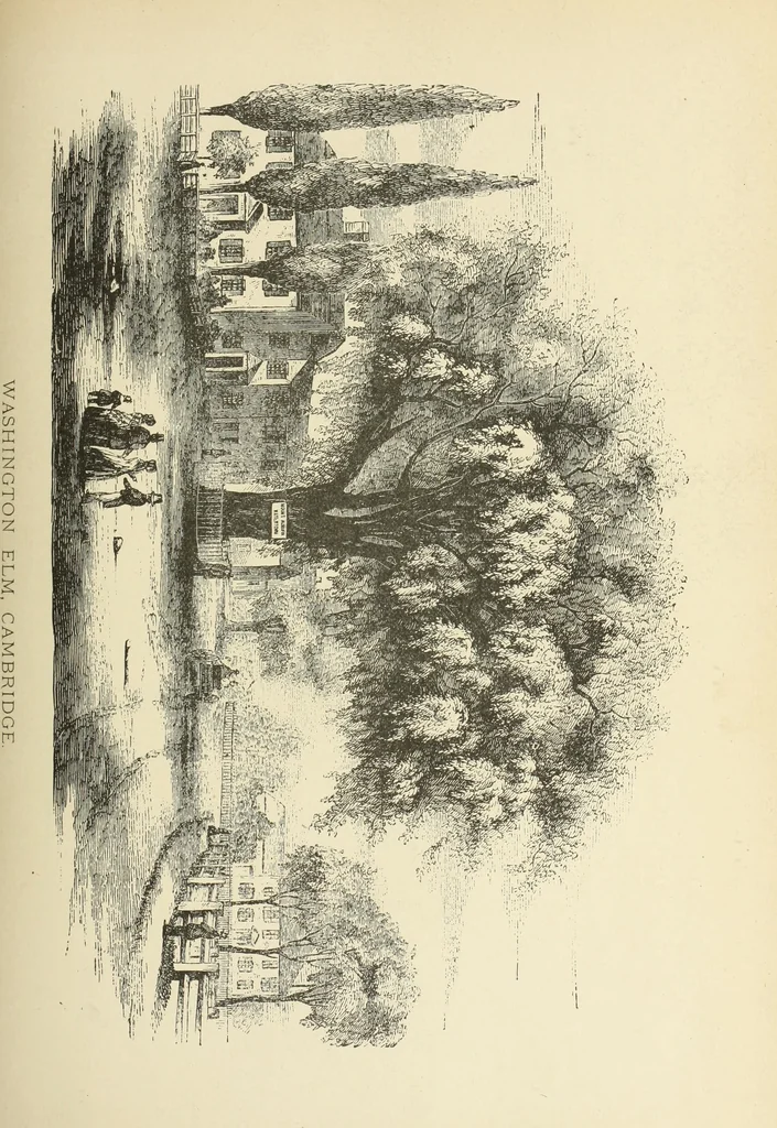An illustration from Antique views of ye towne of Boston, 1882, leaf 264