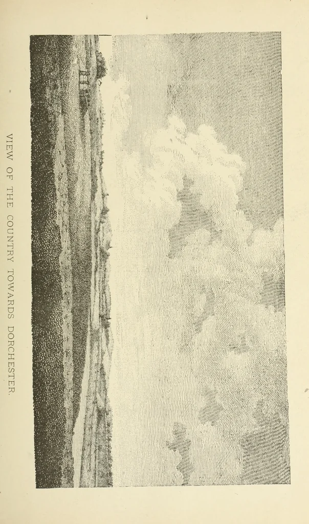 An illustration from Antique views of ye towne of Boston, 1882, leaf 274