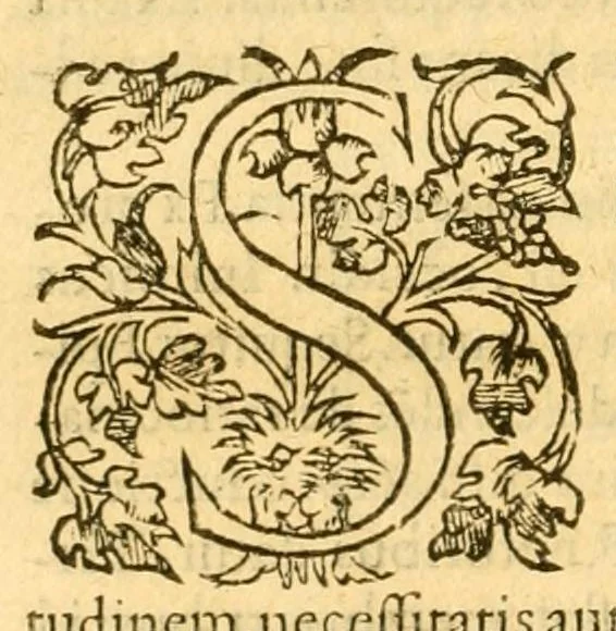 An illustration from Antiqui rhetores latini ..., 1599, leaf 368
