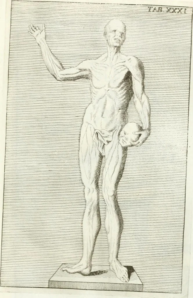 An illustration from Antiquitatis reliquiae a marchione Jacobo Musellio collectae, tabulis incisae et brevisibus explicationibus illustratae, 1756, leaf 134