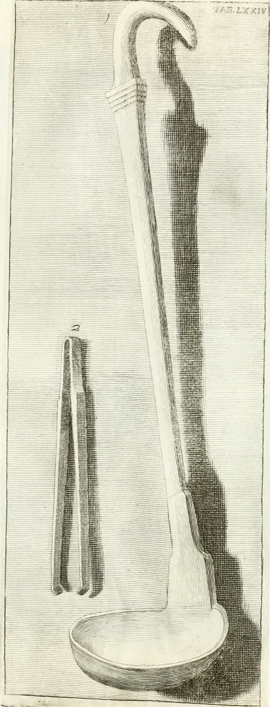 An illustration from Antiquitatis reliquiae a marchione Jacobo Musellio collectae, tabulis incisae et brevisibus explicationibus illustratae, 1756, leaf 214