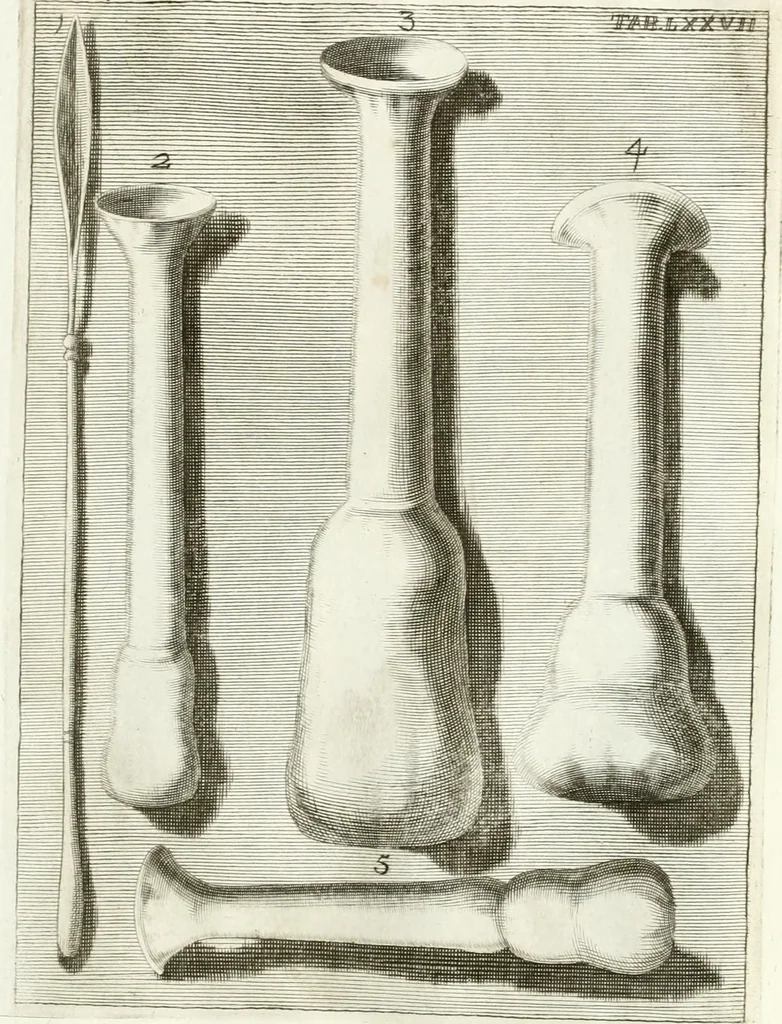 An illustration from Antiquitatis reliquiae a marchione Jacobo Musellio collectae, tabulis incisae et brevisibus explicationibus illustratae, 1756, leaf 220