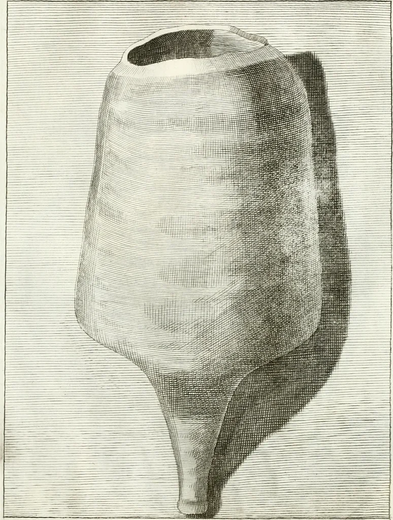 An illustration from Antiquitatis reliquiae a marchione Jacobo Musellio collectae, tabulis incisae et brevisibus explicationibus illustratae, 1756, leaf 288