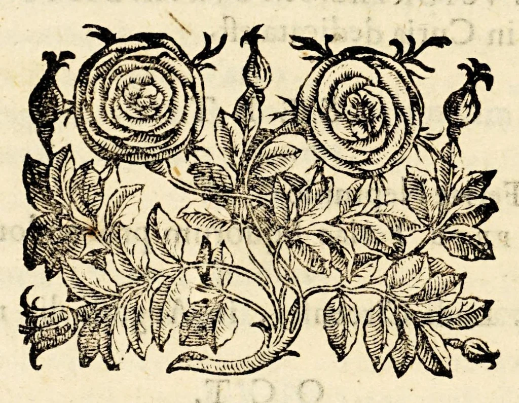 An illustration from Antiquitatum romanarum, 1581, leaf 156