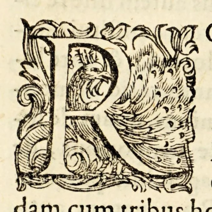 An illustration from Antiquitatum romanarum, 1581, leaf 20