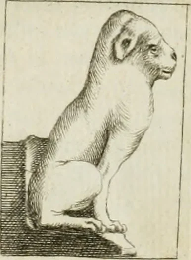 An illustration from Recueil d'antiquités egyptiennes, etrusques, grecques et romaines, 1756, leaf 13
