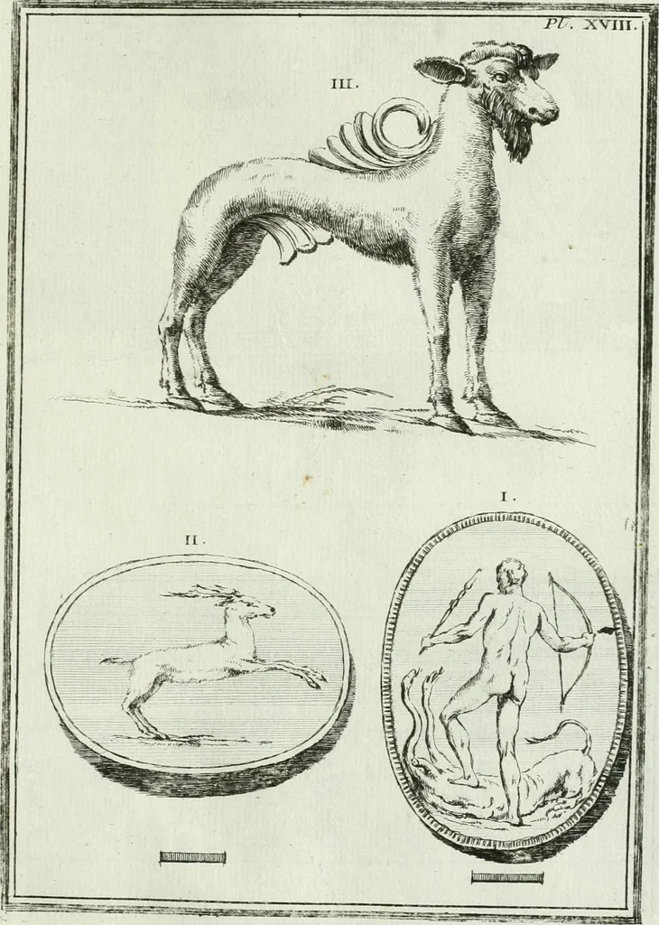 An illustration from Recueil d'antiquités egyptiennes, etrusques, grecques et romaines, 1756, leaf 480