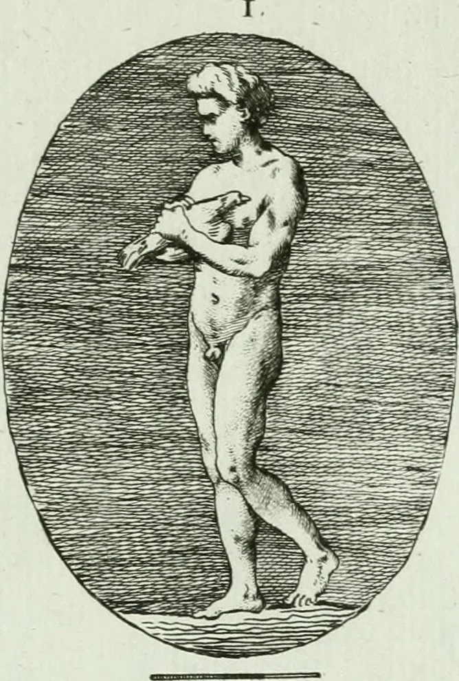 An illustration from Recueil d'antiquités egyptiennes, etrusques, grecques et romaines, 1756, leaf 532
