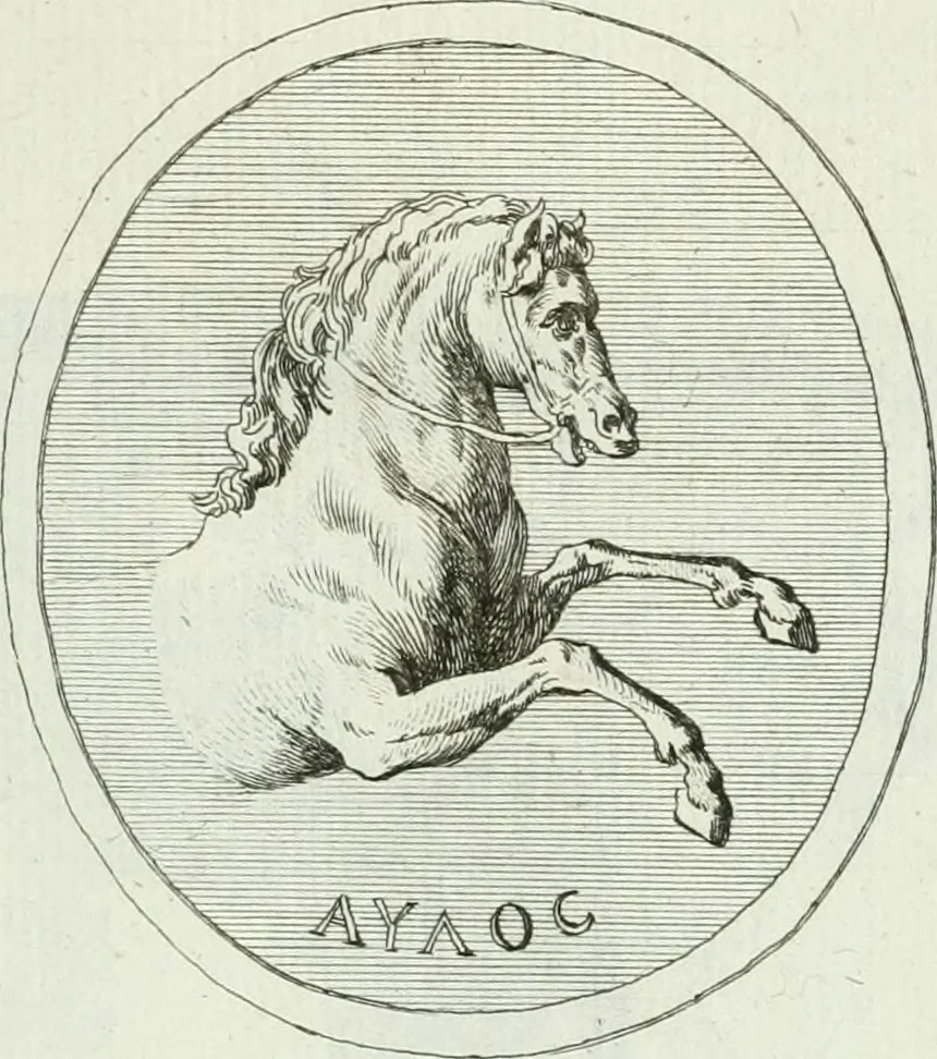 An illustration from Recueil d'antiquités egyptiennes, etrusques, grecques et romaines, 1756, leaf 548