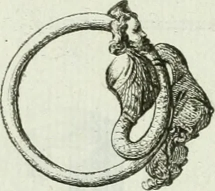 An illustration from Recueil d'antiquités egyptiennes, etrusques, grecques et romaines, 1756, leaf 624
