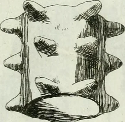 An illustration from Recueil d'antiquités egyptiennes, etrusques, grecques et romaines, 1756, leaf 636