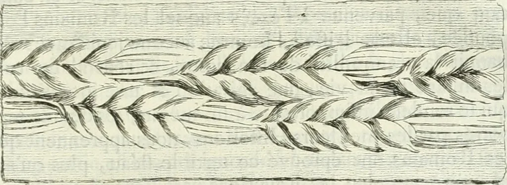 An illustration from Recueil d'antiquités egyptiennes, etrusques, grecques et romaines, 1756, leaf 196