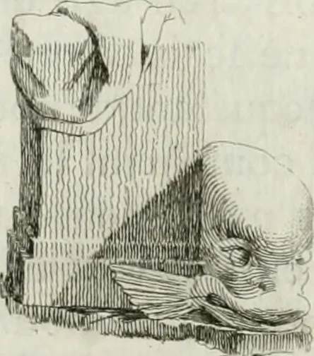 An illustration from Recueil d'antiquités egyptiennes, etrusques, grecques et romaines, 1756, leaf 31