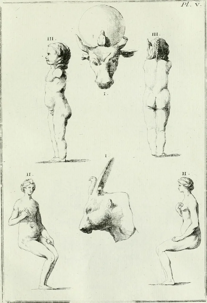 An illustration from Recueil d'antiquités egyptiennes, etrusques, grecques et romaines, 1756, leaf 500