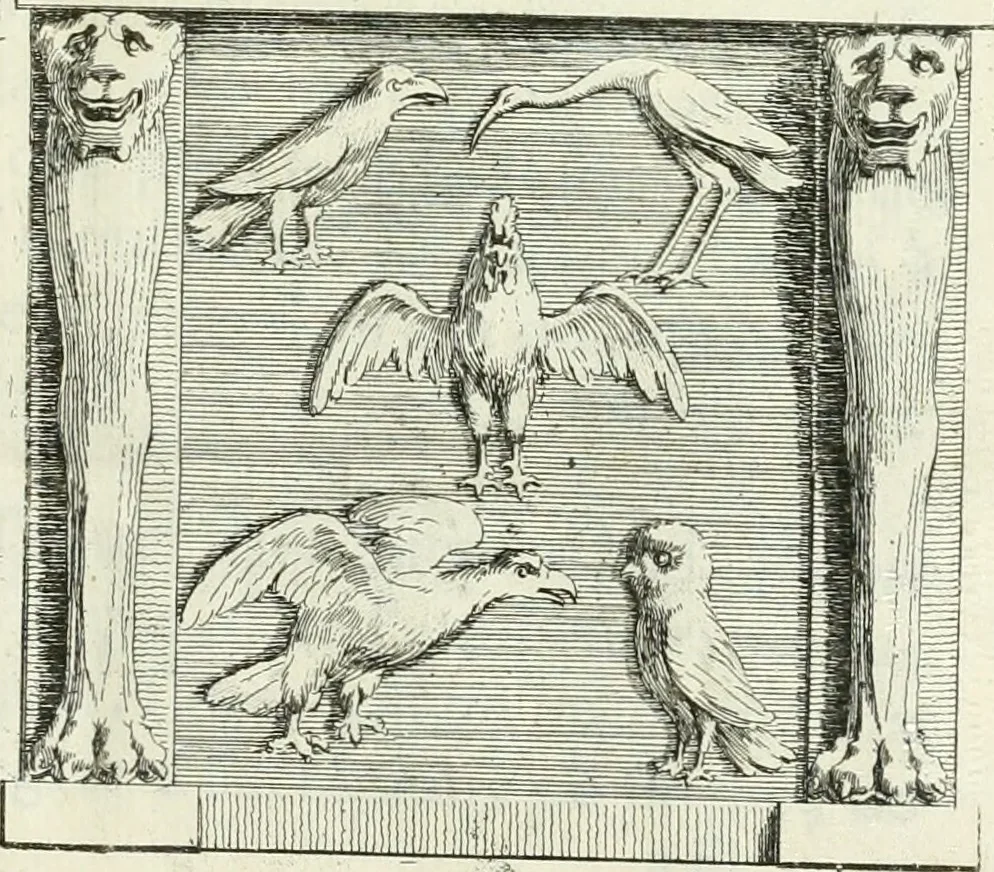 An illustration from Recueil d'antiquités egyptiennes, etrusques, grecques et romaines, 1756, leaf 6