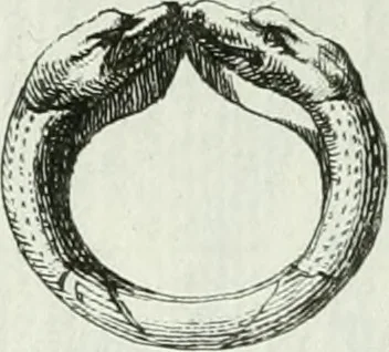 An illustration from Recueil d'antiquités egyptiennes, etrusques, grecques et romaines, 1756, leaf 672