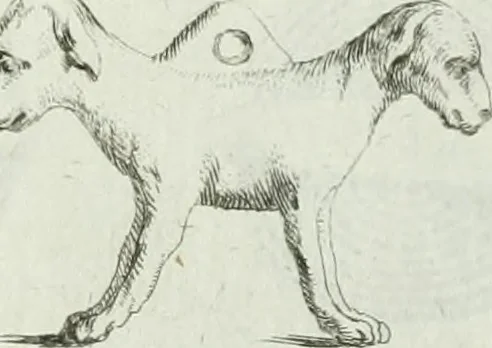 An illustration from Recueil d'antiquités egyptiennes, etrusques, grecques et romaines, 1756, leaf 678