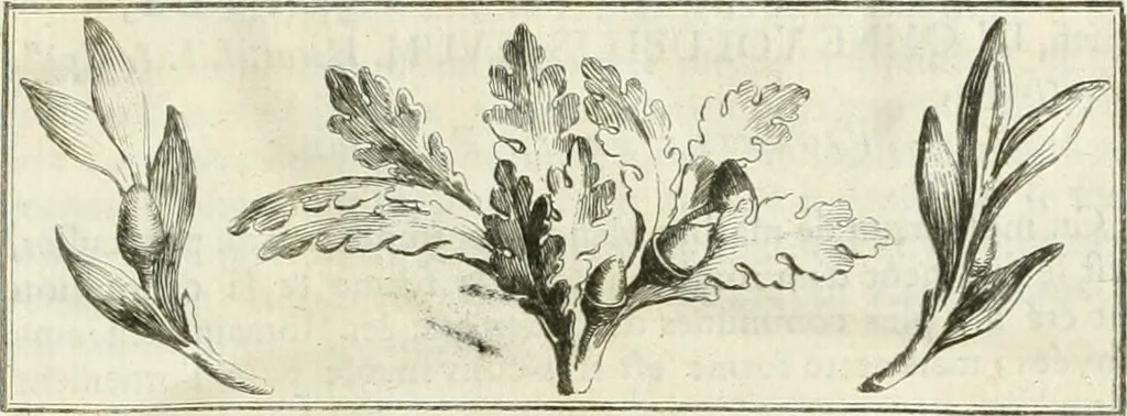 An illustration from Recueil d'antiquités egyptiennes, etrusques, grecques et romaines, 1756, leaf 18