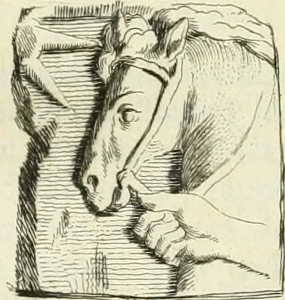 An illustration from Recueil d'antiquités egyptiennes, etrusques, grecques et romaines, 1756, leaf 200