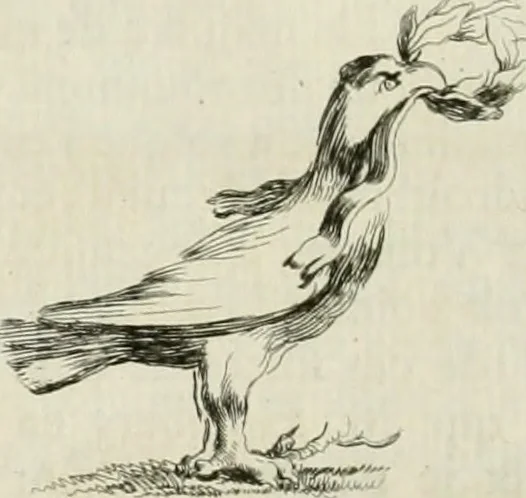 An illustration from Recueil d'antiquités egyptiennes, etrusques, grecques et romaines, 1756, leaf 379