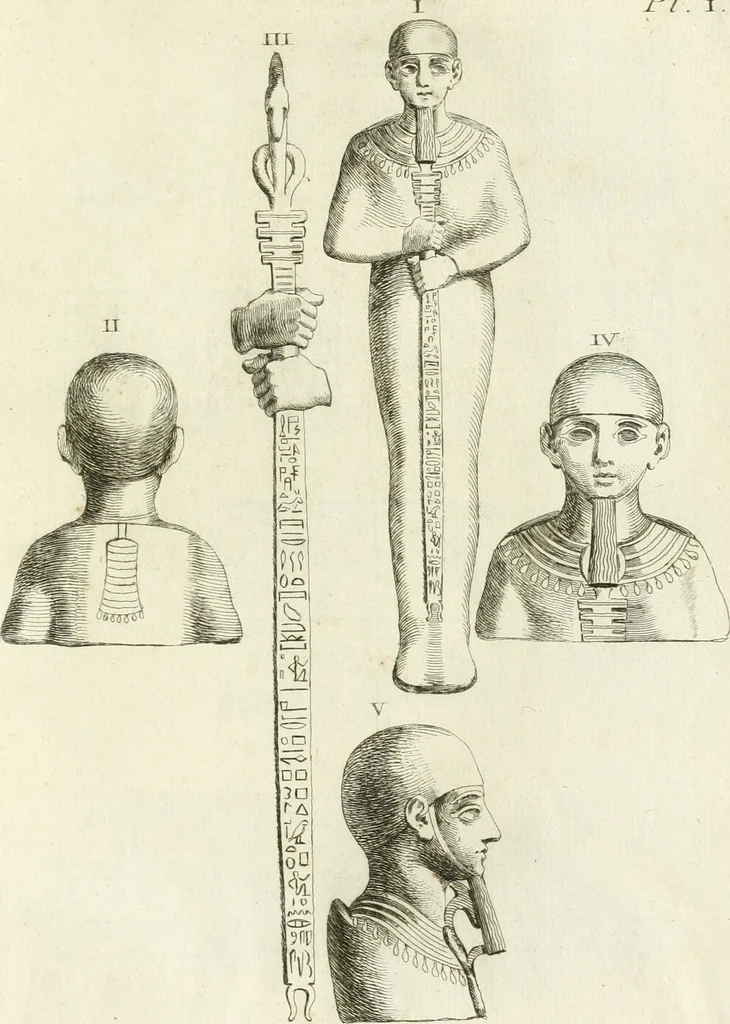 An illustration from Recueil d'antiquités egyptiennes, etrusques, grecques et romaines, 1756, leaf 446