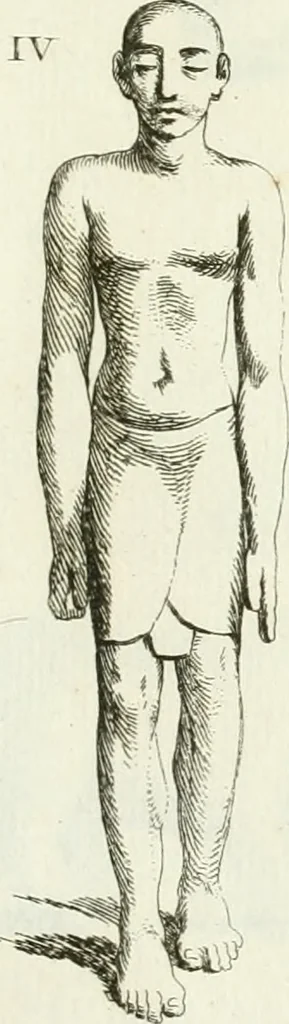An illustration from Recueil d'antiquités egyptiennes, etrusques, grecques et romaines, 1756, leaf 460