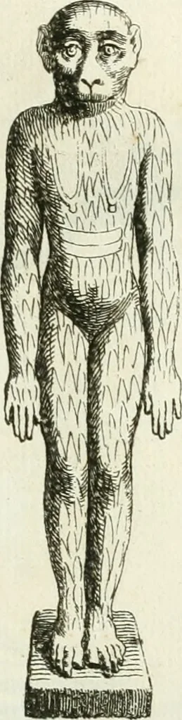 An illustration from Recueil d'antiquités egyptiennes, etrusques, grecques et romaines, 1756, leaf 478