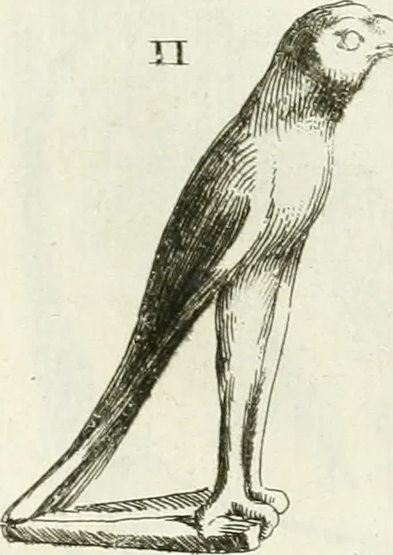 An illustration from Recueil d'antiquités egyptiennes, etrusques, grecques et romaines, 1756, leaf 480