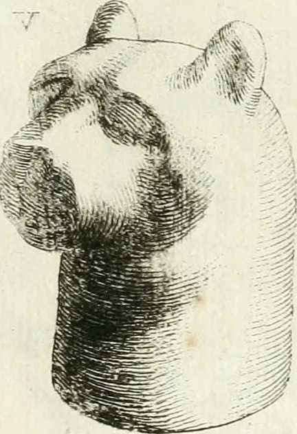 An illustration from Recueil d'antiquités egyptiennes, etrusques, grecques et romaines, 1756, leaf 480