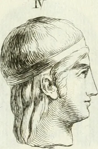An illustration from Recueil d'antiquités egyptiennes, etrusques, grecques et romaines, 1756, leaf 542