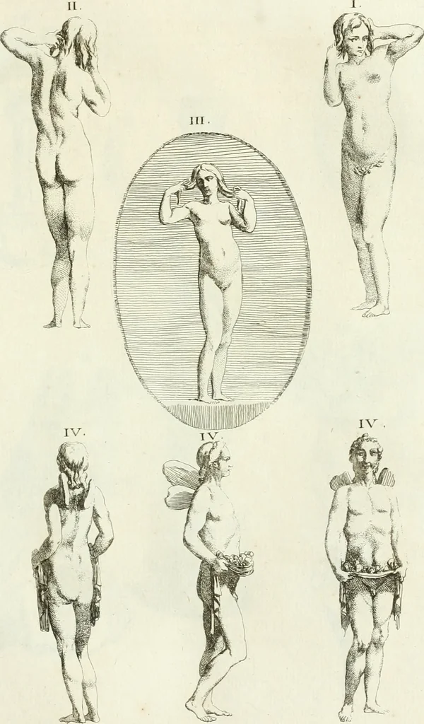 An illustration from Recueil d'antiquités egyptiennes, etrusques, grecques et romaines, 1756, leaf 564