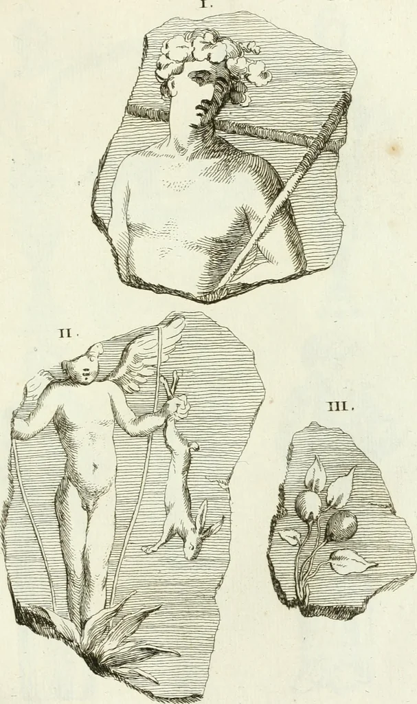 An illustration from Recueil d'antiquités egyptiennes, etrusques, grecques et romaines, 1756, leaf 586