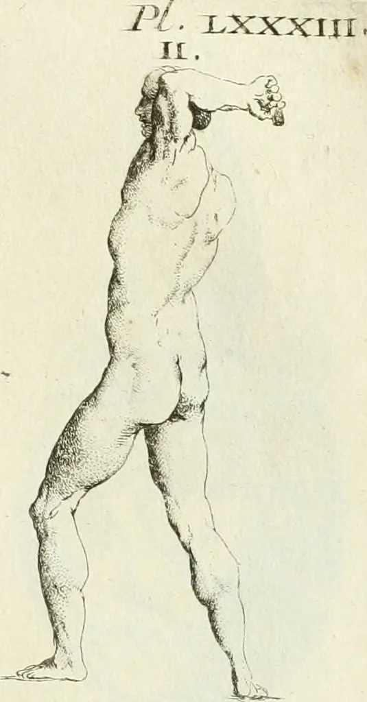 An illustration from Recueil d'antiquités egyptiennes, etrusques, grecques et romaines, 1756, leaf 610