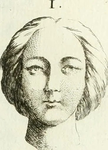 An illustration from Recueil d'antiquités egyptiennes, etrusques, grecques et romaines, 1756, leaf 626