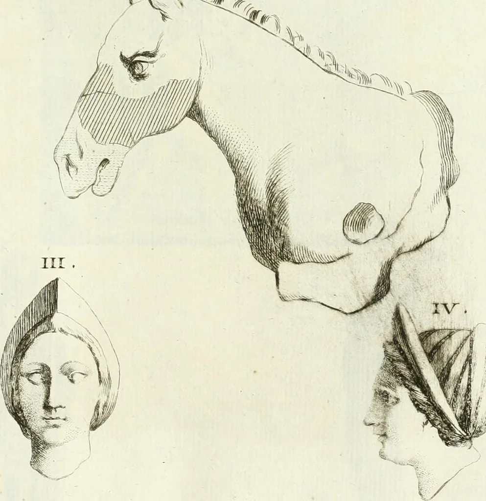 An illustration from Recueil d'antiquités egyptiennes, etrusques, grecques et romaines, 1756, leaf 626