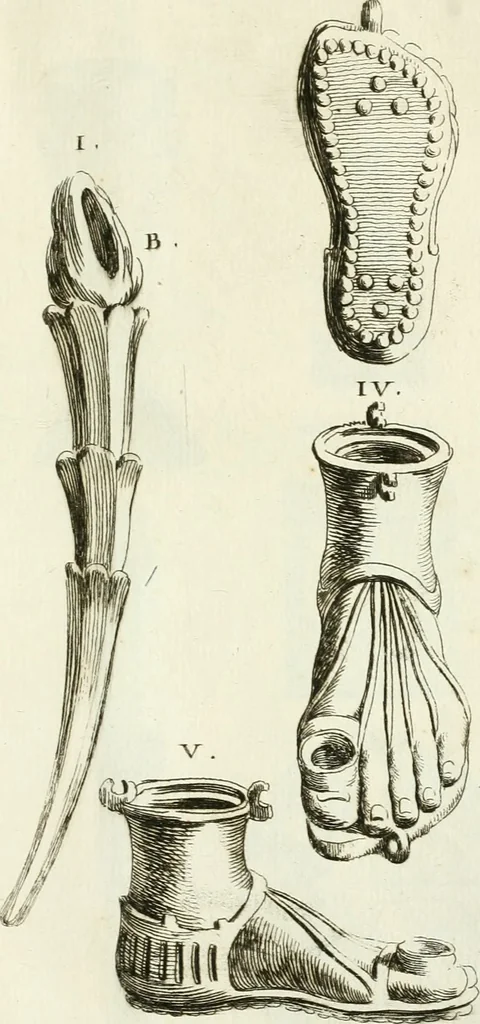 An illustration from Recueil d'antiquités egyptiennes, etrusques, grecques et romaines, 1756, leaf 644