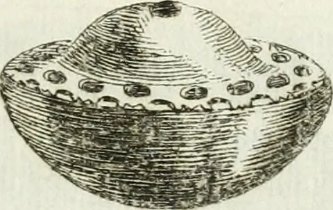 An illustration from Recueil d'antiquités egyptiennes, etrusques, grecques et romaines, 1756, leaf 648