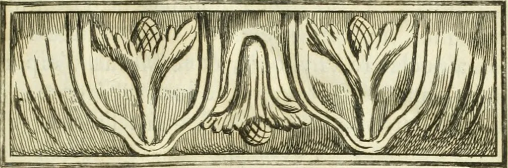 An illustration from Recueil d'antiquités egyptiennes, etrusques, grecques et romaines, 1756, leaf 10