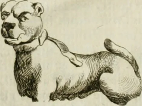 An illustration from Recueil d'antiquités egyptiennes, etrusques, grecques et romaines, 1756, leaf 25