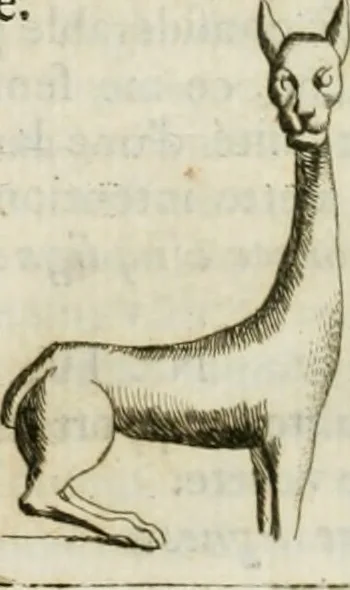 An illustration from Recueil d'antiquités egyptiennes, etrusques, grecques et romaines, 1756, leaf 299