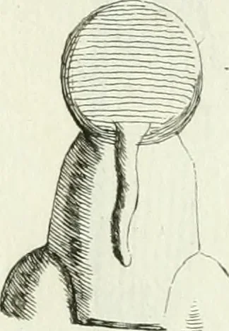 An illustration from Recueil d'antiquités egyptiennes, etrusques, grecques et romaines, 1756, leaf 388