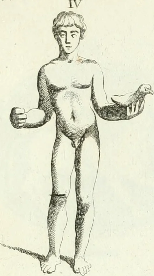 An illustration from Recueil d'antiquités egyptiennes, etrusques, grecques et romaines, 1756, leaf 454