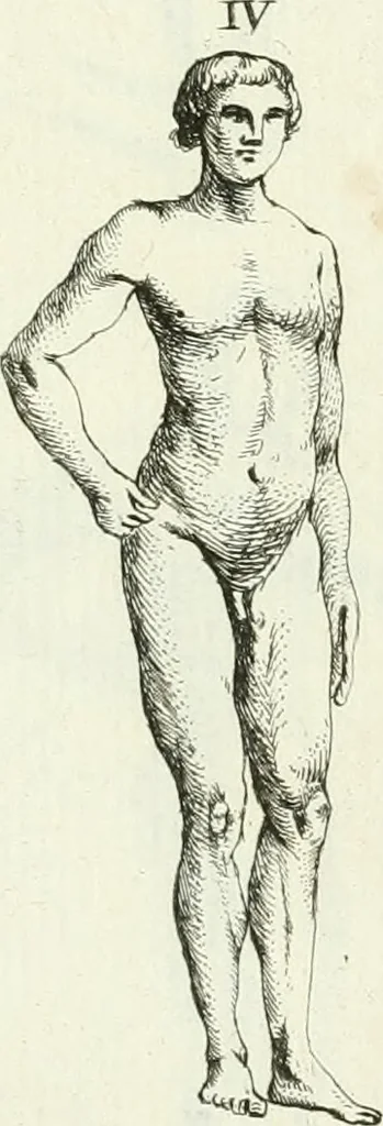 An illustration from Recueil d'antiquités egyptiennes, etrusques, grecques et romaines, 1756, leaf 464