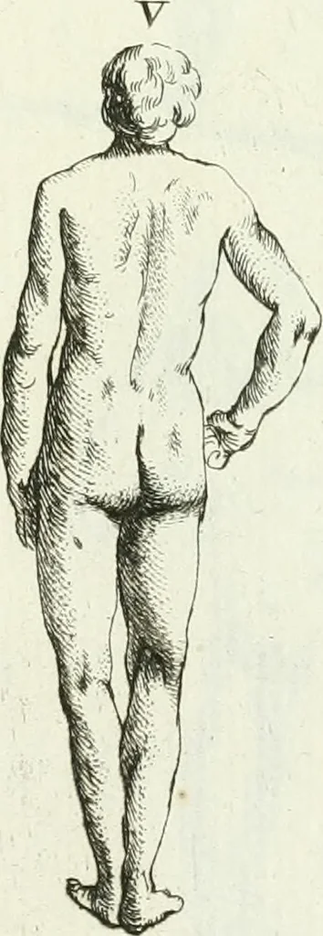 An illustration from Recueil d'antiquités egyptiennes, etrusques, grecques et romaines, 1756, leaf 464